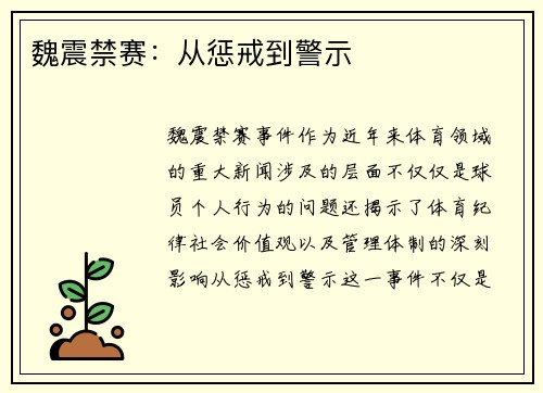 魏震禁赛：从惩戒到警示
