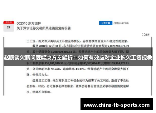 赵鹏谈欠薪问题解决方案解析：如何有效应对企业拖欠工资现象