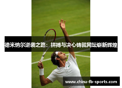 德米纳尔逆袭之路：拼搏与决心铸就网坛崭新辉煌