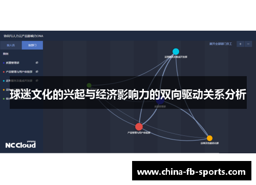 球迷文化的兴起与经济影响力的双向驱动关系分析