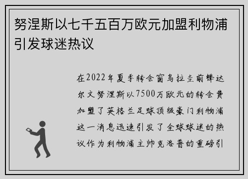 努涅斯以七千五百万欧元加盟利物浦引发球迷热议