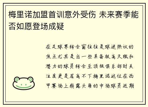 梅里诺加盟首训意外受伤 未来赛季能否如愿登场成疑